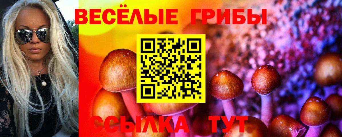 Полысаево  Псилоцибиновые грибы Magic Shrooms  Вход с VPN 